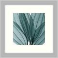 Steven N. Meyers 'Leaf Bouquet' Framed Art Print