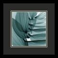 Steven N. Meyers 'Lily Leaves' Framed Art Print