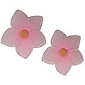 Nylon Wall Decor Flowers (Set of 2)