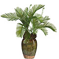 Cycas Silk Plant with Glazed Vase