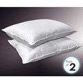 White 250 Thread Count Down Alternative Pillow Set (Set of 2)