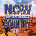 Various Artists - Now That`s What I Call Country, Vol. 2