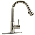 Pro Series Chrome Pull-down Kitchen Faucet