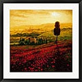 Steve Thoms 'Shades Of Poppies' Framed Art