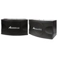 Acesonic SP-450 300W Professional Vocal Speaker System
