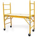 Multipurpose Scaffold