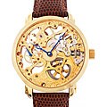 Akribos XXIV Men's 'Davinci' Mechanical Watch