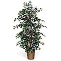 Green 6-foot Silk Ficus Bush