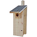 Stovall Woodpecker House