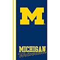 Michigan Ultra-soft Oversize Throw