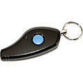 Audiovox APS901 Remote Start System
