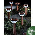 Copper Stainless Steel Garden Solar Landscape Lights (Set of 12)
