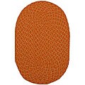 Lemonade Indoor/ Outdoor Colorful Orange Braided Rug (2' x 5')