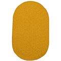 Indoor/ Outdoor Colorful Yellow Braided Rug (2' x 5')