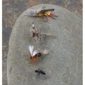 Genesis Dry 15-fly Fishing Assortment