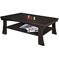 Asian Flare Coffee Table