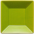 Waechtersbach Kiwi Square Rimmed Plates (Set of 2)