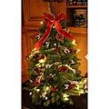 Icicle Large Pre-Lit Fresh-cut Maine Balsam Tabletop Tree