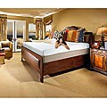 14-inch Select-A-Firmness Memory Foam King Size Mattress (Pack of 2)