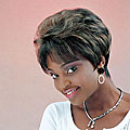 Merrylight Premium Quality Dark Brown/ Golden Brown Wig with Cap