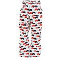 Sessions Men's Fireball Blue/ White Snowboard Pants