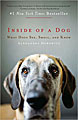 Inside of a Dog What Dogs See Smell and (Paperback)
