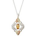 Silver and 12k Black Hills Gold Citrine Necklace