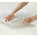 Bed Bug/ Dust Mite/ Allergy Control Queen-size Pillow Protector