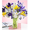 Bouquet of Assorted Iris (20 blooms)