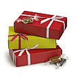 Gourmet Caramels Gift Boxes