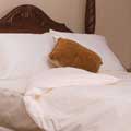Allergy Control Pristine Complete Comforter Encasing