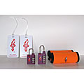 Safe Skies Passion Purple Collection TSA Lock Set