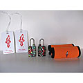 Safe Skies 4-dial Around The World TSA Lock Set