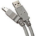 Grey 'A'-to-'B' USB 2.0 Compliant 10-foot Cable