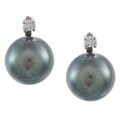 DaVonna 14k White Gold Tahitian Pearl and Diamond Earrings (8-9 mm)