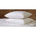 Comfort Curve Memory Loft Pillows (Set of 2)