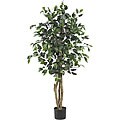 Ficus 4-foot Silk Tree