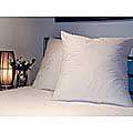Decorator 28x28-inch Euro Pillow Set (Set of 2)
