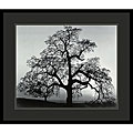 Ansel Adams 'Oak Tree, Sunset City, California, 1962' Framed Art Print