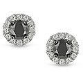 14k Gold 1/2ct TDW Black and White Diamond Earrings (H-I, I2-I3)