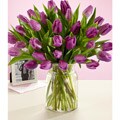 Fresh Flower Bouquet of 30 Purple Tulips