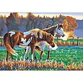 Dimensions Pasture Buddies Paint by Number Kit