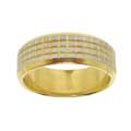 Stainless Steel Two-tone Ring (8 mm)