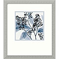 Steven N. Meyers 'Eucalyptus II' Framed Art Print
