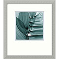 Steven N. Meyers 'Lily Leaves' Framed Art Print