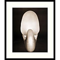 Edward Weston Chambered Nautilus Framed Art Print