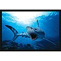 Shark Gel-Coated Textured Art