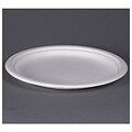 ECOPRO CO 9.5-inch Bamboo Fiber Compostable Round Plates (Case of 500)