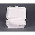 ECOPRO CO 9-inch Bamboo Fiber Compostable Lunch Box (Case of 250)