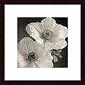 'Poppy Study III' Wood Framed Art Print